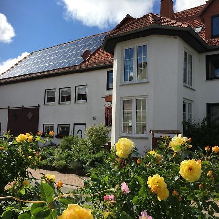 Gallowayhof Am Edersee Vöhl Екстериор снимка